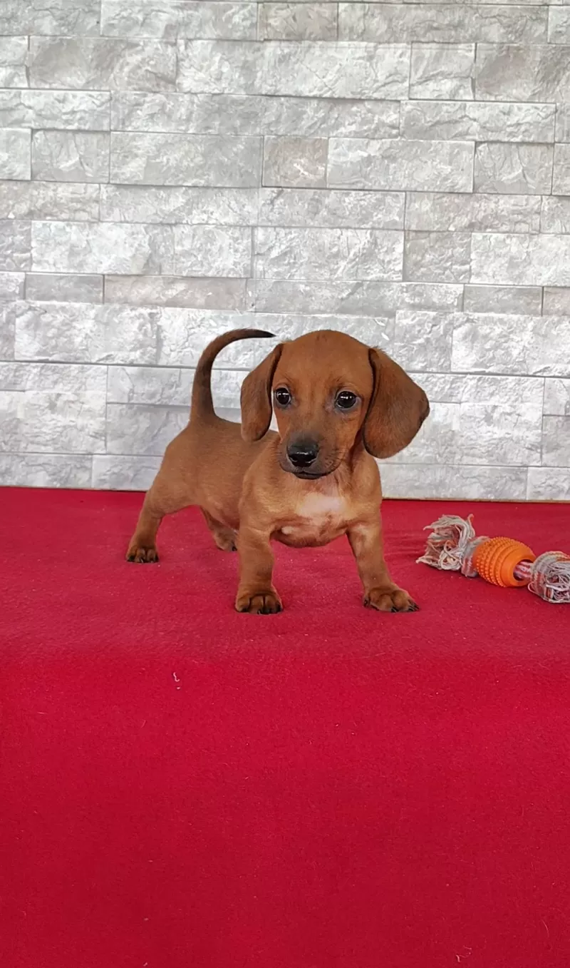 Stanley
